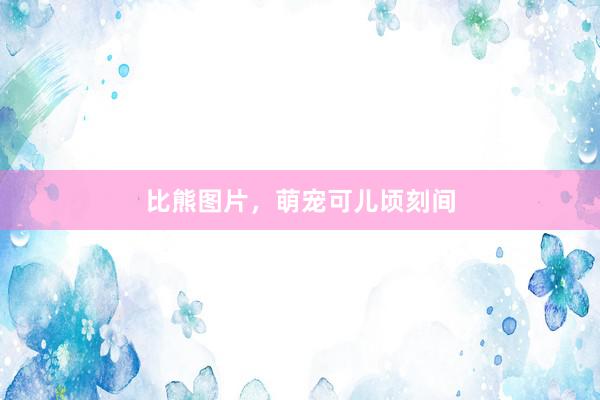 比熊图片，萌宠可儿顷刻间