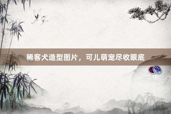 稀客犬造型图片，可儿萌宠尽收眼底